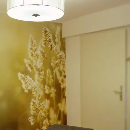 公寓 Scherfsmuehle Am Muehlbach Waldrach