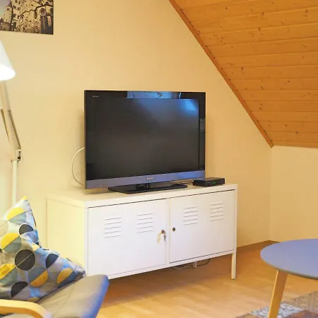 公寓 Scherfsmuehle Am Muehlbach Waldrach